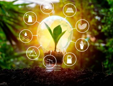 Untitled design (80)