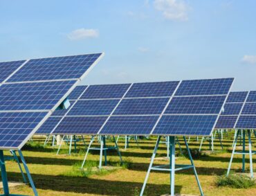 Untitled design (79)